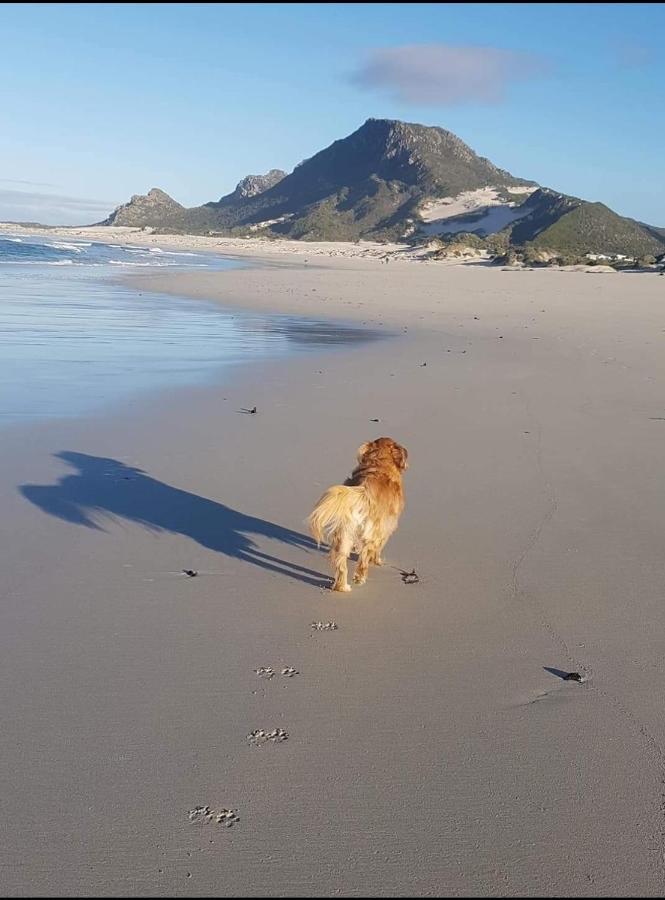 Brandys Beach House Bettys Bay Bagian luar foto