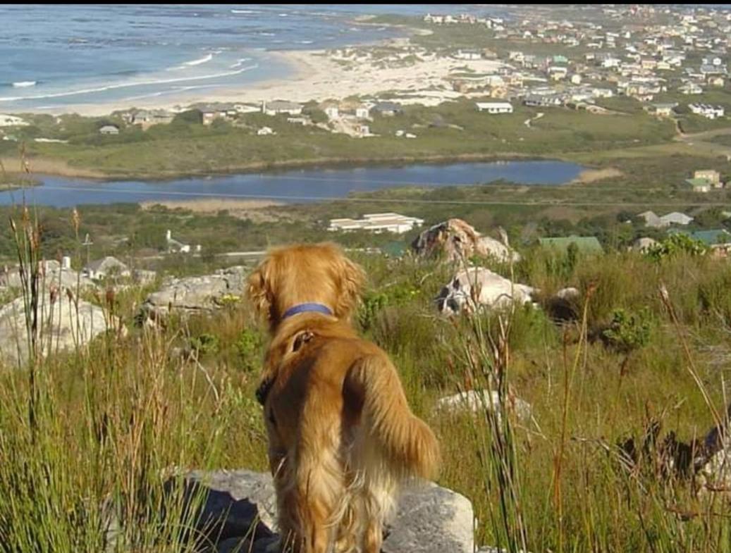 Brandys Beach House Bettys Bay Bagian luar foto