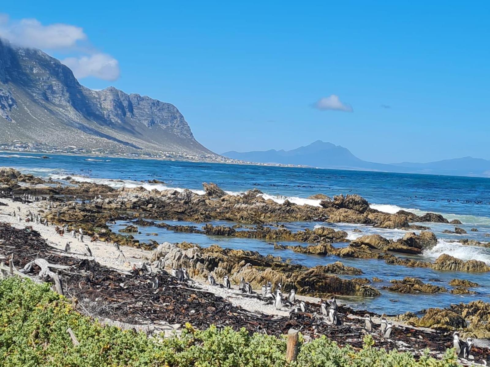 Brandys Beach House Bettys Bay Bagian luar foto