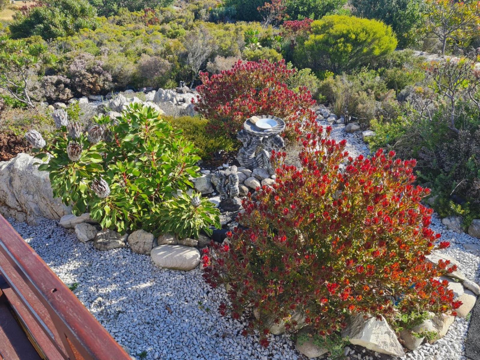 Brandys Beach House Bettys Bay Bagian luar foto